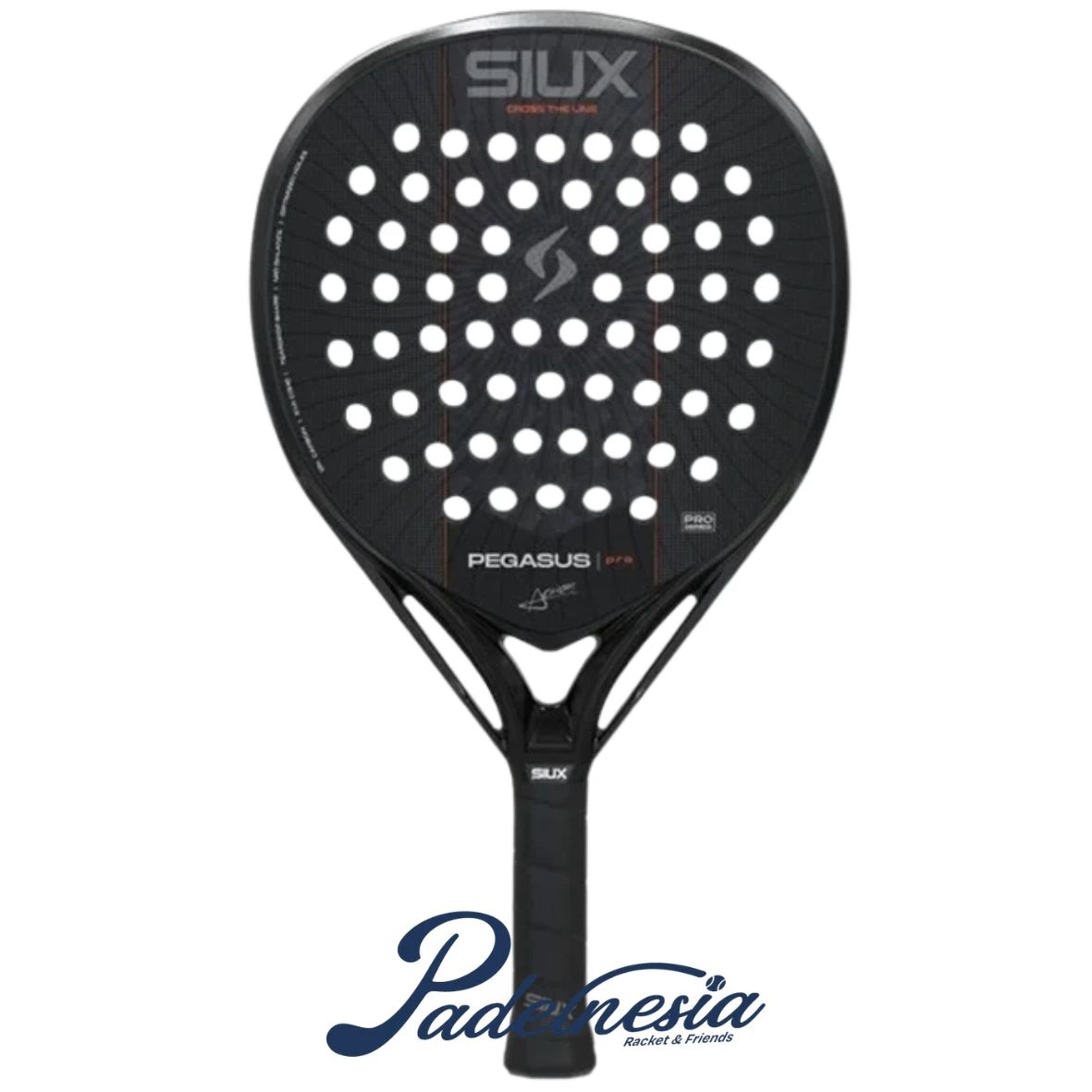 Jual Siux Pegasus Pro 2027 - Padel Racket Di Seller Padelnesia Flagship ...