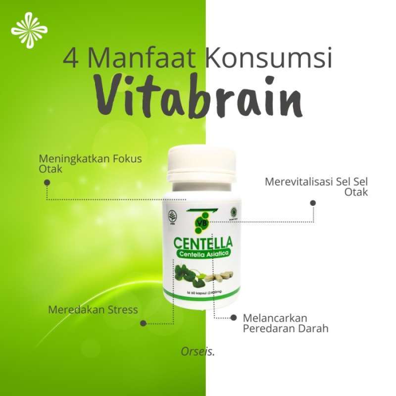 Promo Vitamin Otak Anak Dewasa Vitabrain Suplemen Otak Nutrisi Otak
