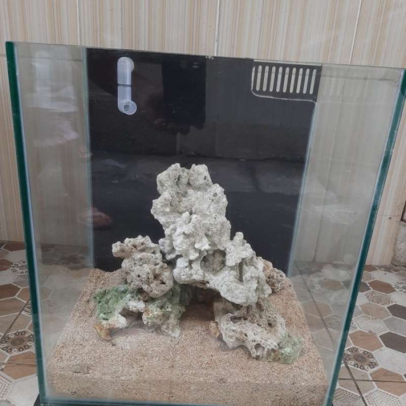 Promo aquarium laut full set Diskon 33 di Seller Amor One store Koja