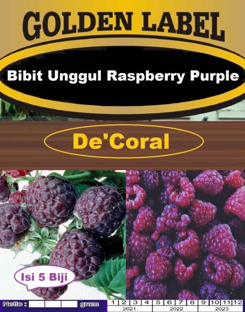 Buah Raspberry Ungu