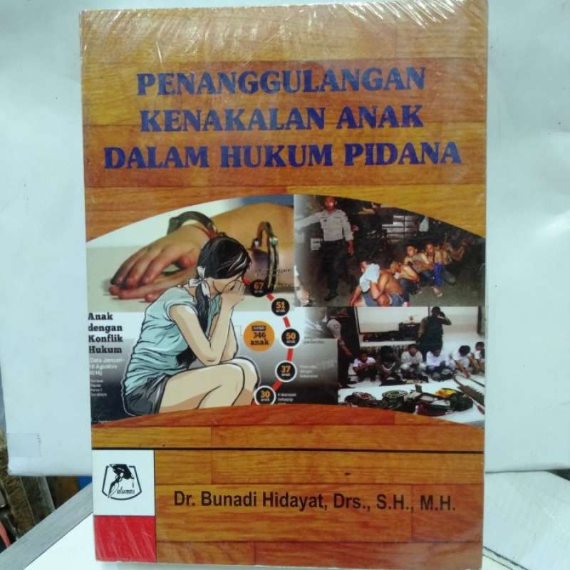 Promo BUKU PENANGGULANGAN KENAKALAN ANAK DALAM HUKUM PIDANA Diskon 23%