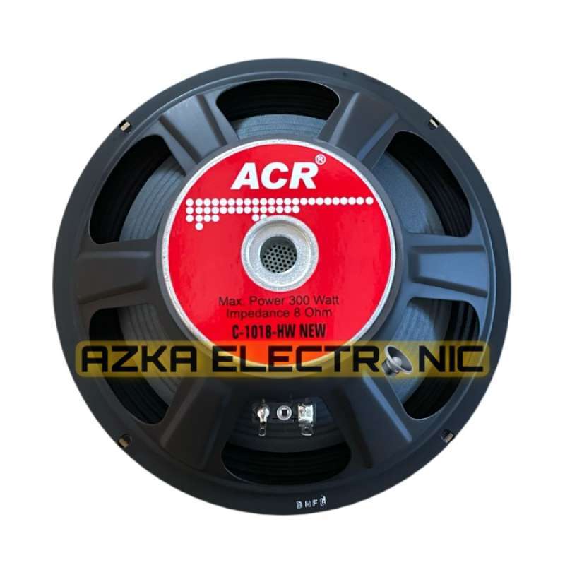 Speaker 10 inch full range sales