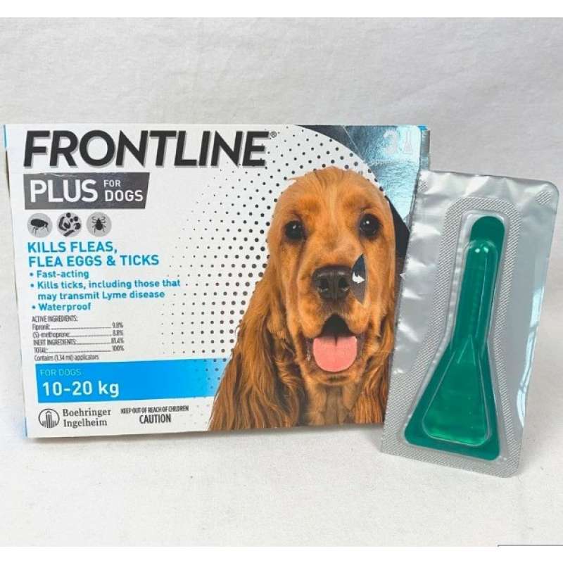 Frontline anjing top