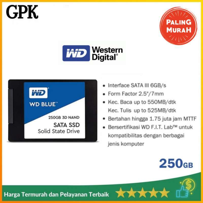 WD SSD BLUE 250GB GARANSI 3 TAHUN WDS250G1B0A