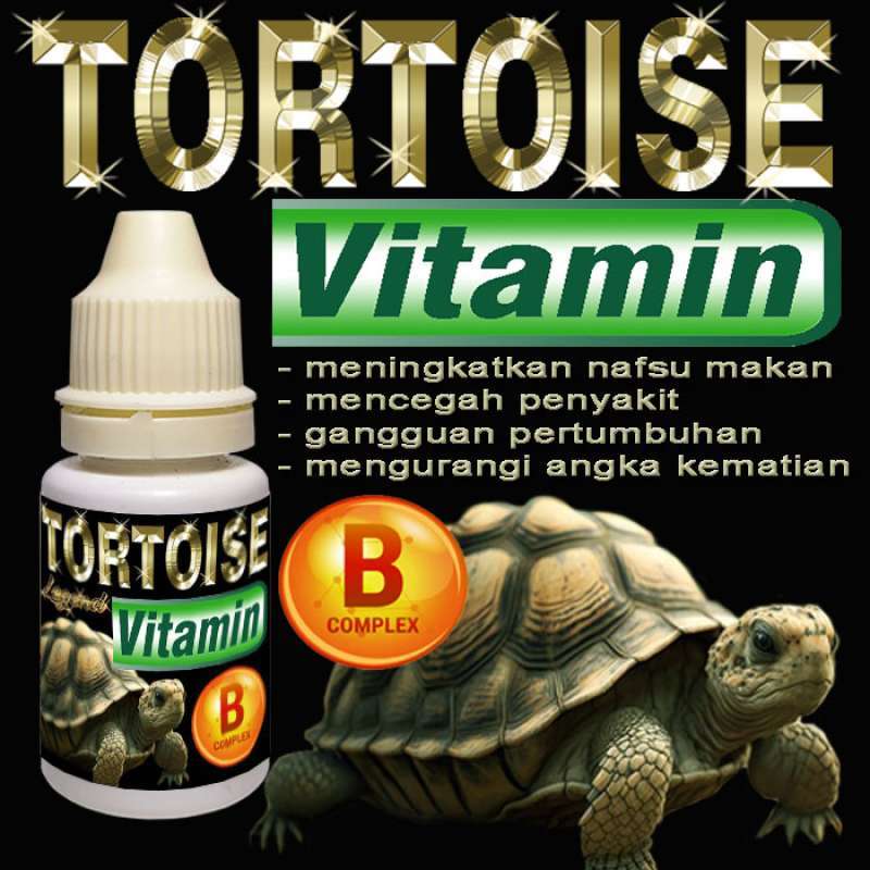 Tortoise multivitamin cheap