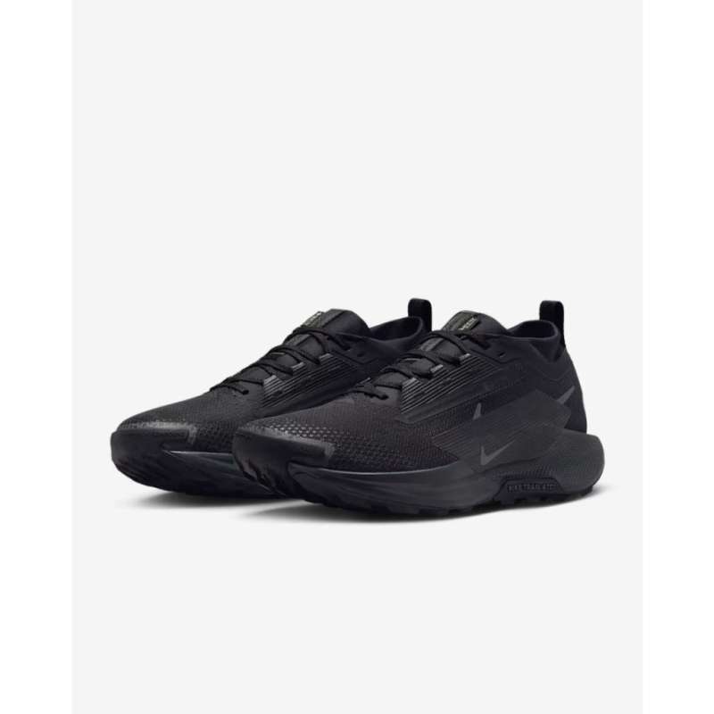 Sepatu Lari Pria Nike Pegasus Trail Gore-Tex Black FQ0908-002