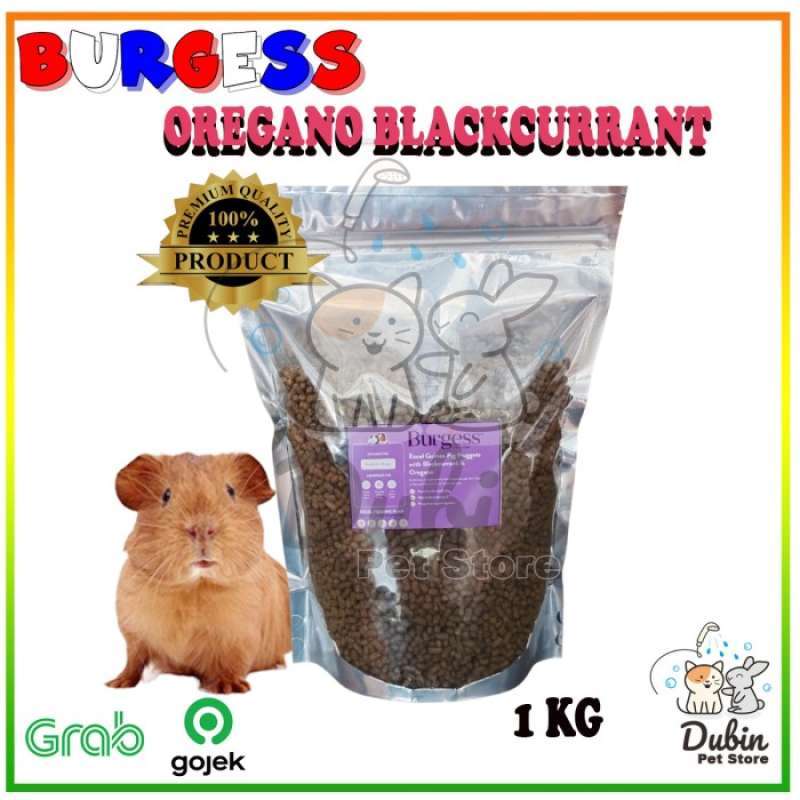 Jual Burgess Guinea Pig/cavy Oregano With Blackcurrant 1kg Makanan