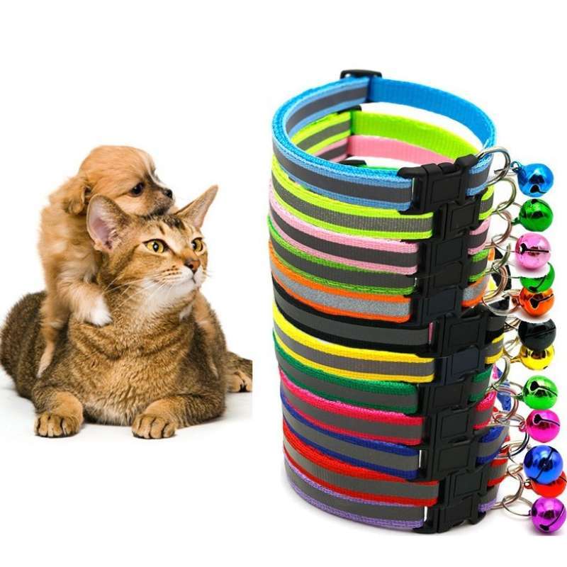 Jual Kalung Glow In Dark Terdekat 🏷️ Harga Grosir Murah Terupdate Hari ...