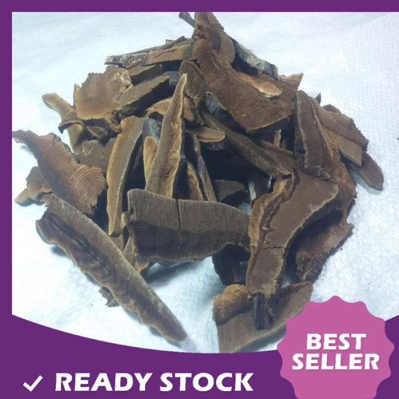 Promo jamur lingzhi ling zhi mushroom ganoderma iris 1kg [lingzhi liar