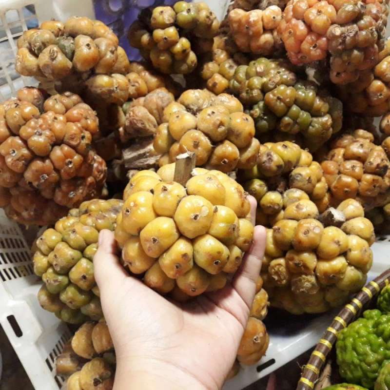 Promo Asam Cikala Cekala / Sikala Medan -1KG Diskon 33% di Seller ...