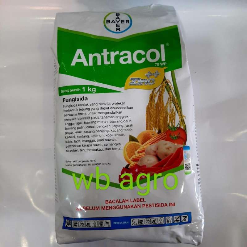 Promo Fungisida Antracol 1 kg Diskon 23% di Seller Surota Aska ...