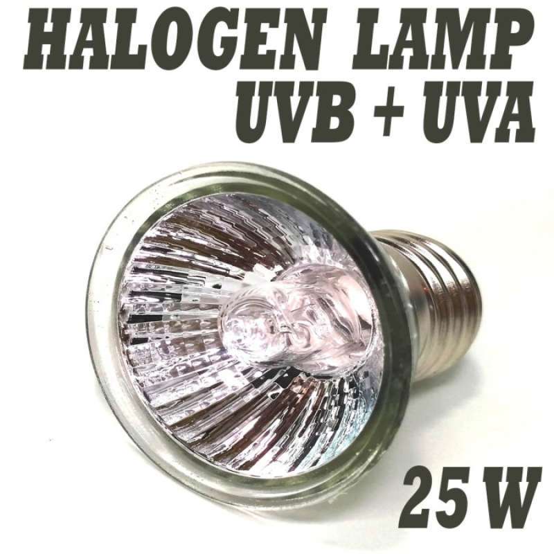 Promo Ifl001 Fitting Cup Lampu Model Tempel Kandang Terrarium Dimmer