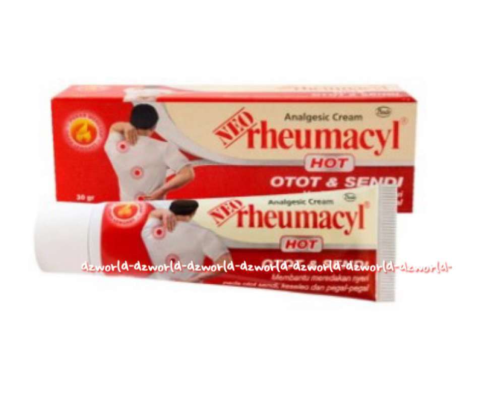 Bangle (Zingiber montanum): Rahasia Alami Meredakan Nyeri Sendi dan Perut Kembung dari Kebun Rumah Anda