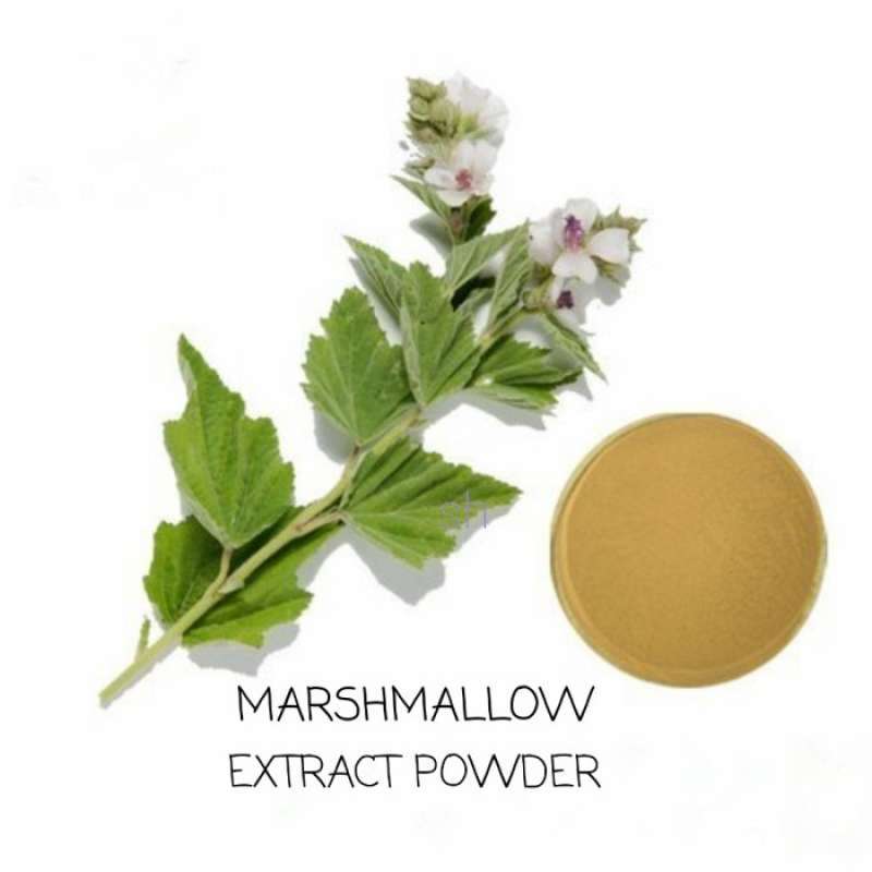 Promo Marshmallow Extract Powder 20g Diskon 23 di Seller Tunica Store
