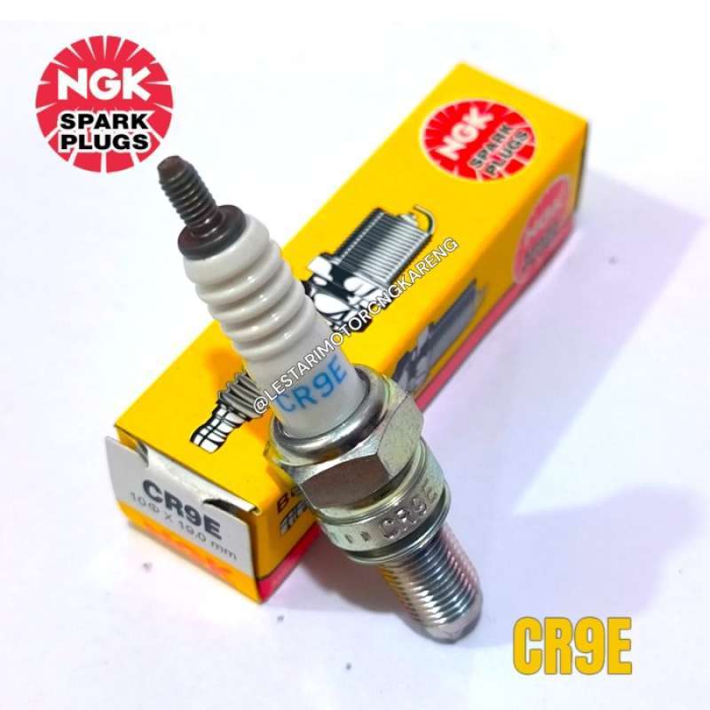 busi r25 original