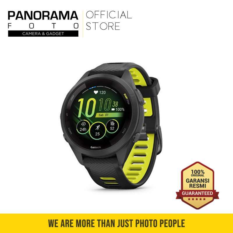 Garmin 2025 forerunner 295