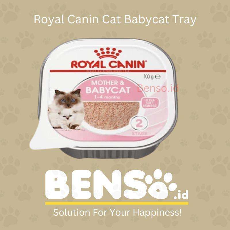 Jual Royal Canin Mother Babycat 100gr Rc Baby Cat Wet Cat Food tray Di Seller Benso.id Cibuntu Kota Bandung Blibli