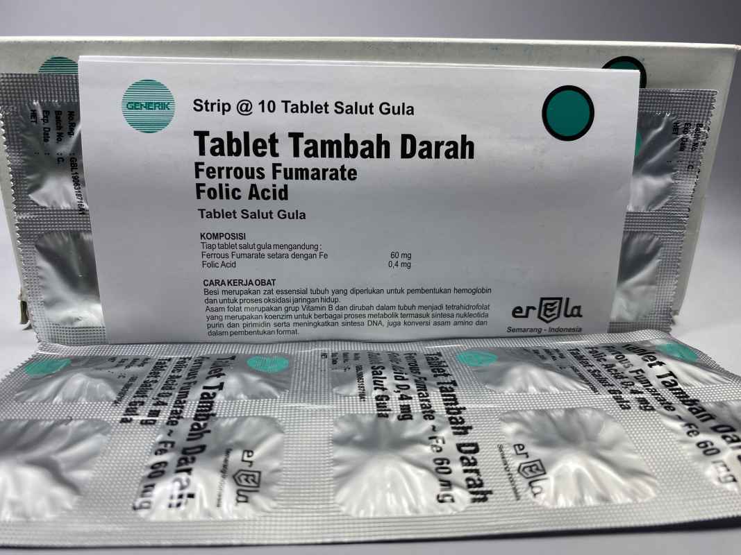 Jual tablet tambah darah erela box isi 10x10 tablet zat besi asam