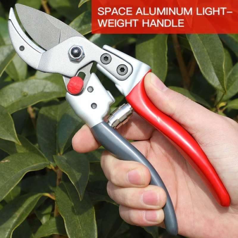 Promo Gunting Ranting 7 Inch Tangkai Duri Pohon Tanaman Kebun Taman ...