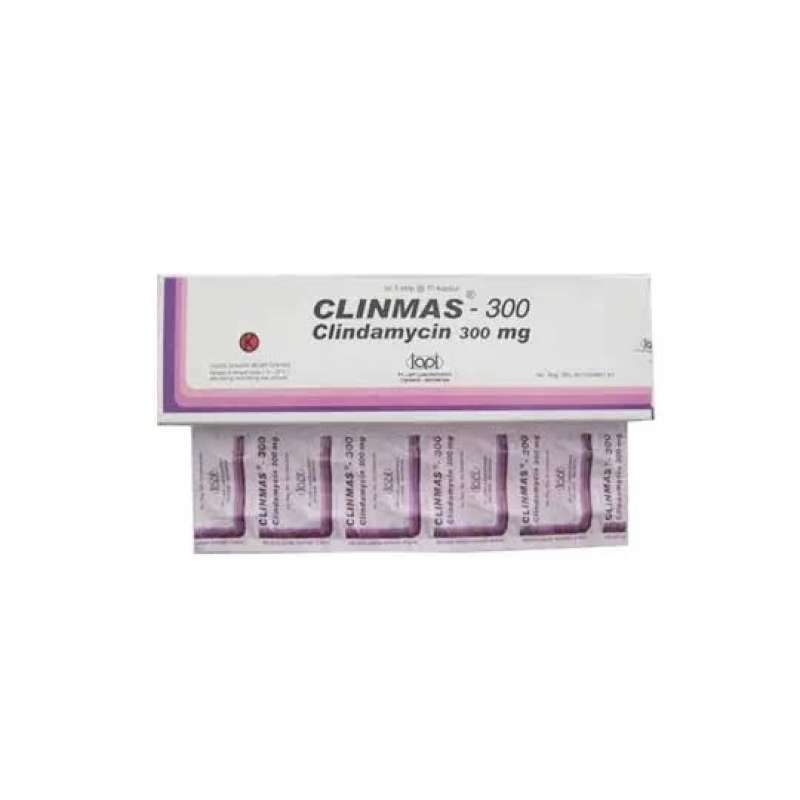 Anaerob Jar Lengkap Harga Terbaru Agustus 2024 | Blibli