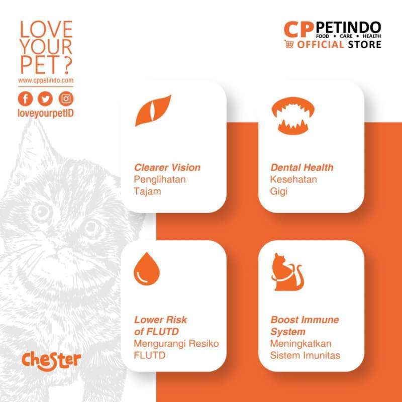 Jual Dry Cat Food Chester 800 Gr 1 Kg Makanan Kucing Kering Chester