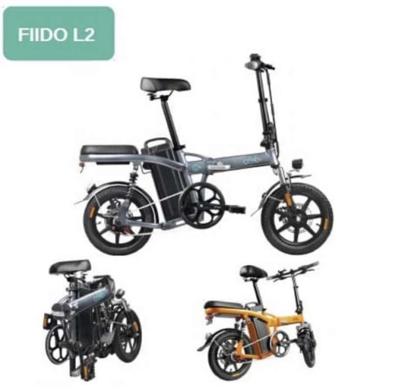Fiido l2 bike online