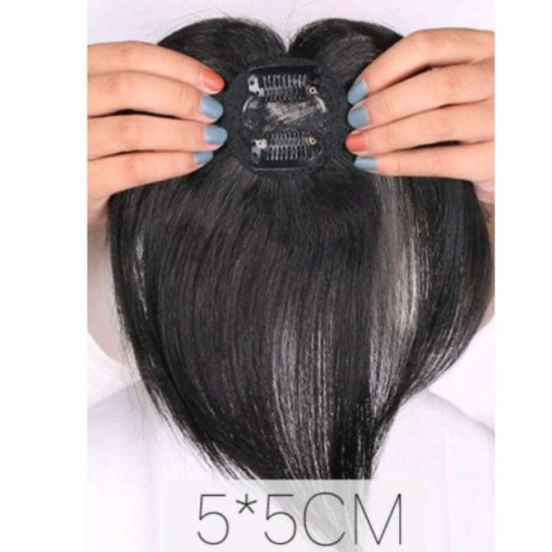 Jual Tou Wig Toupee Human Hair Asli Penutup Botak Penambah Volume Clip Di Seller Prakasa Sentosa Meruya Selatan udik Kota Jakarta Barat Blibli