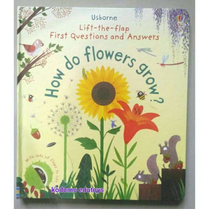 Promo Usborne Lift the flap First Questions and Answers How Do Flowers