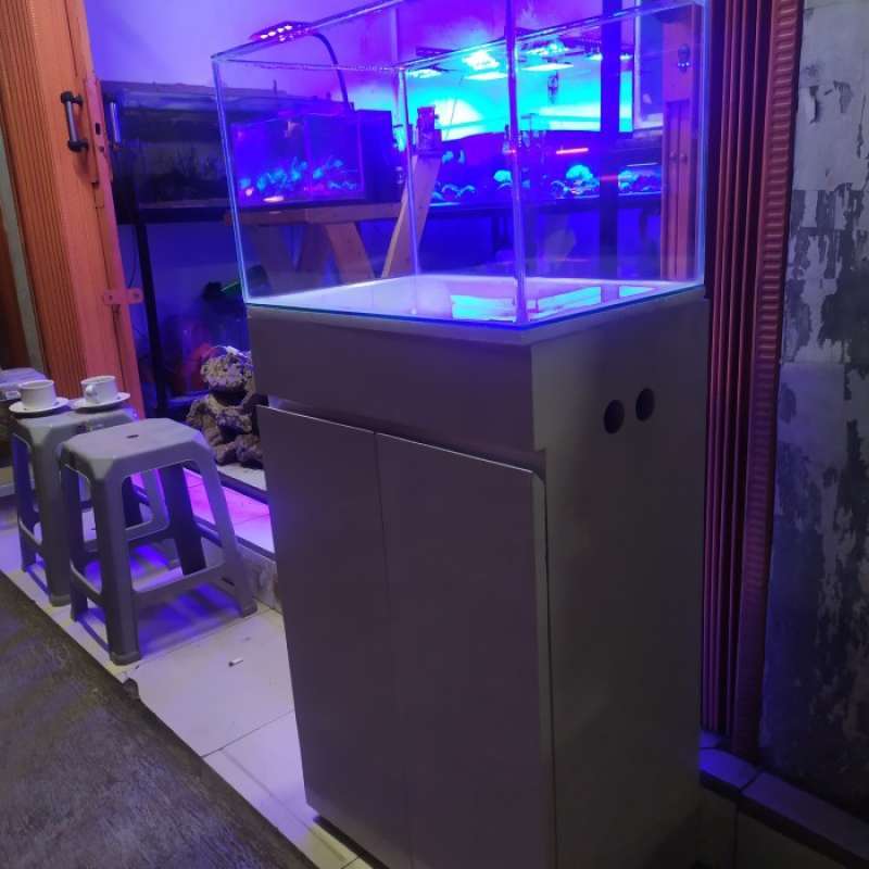 Promo Aquarium Air Laut Set Plus Diskon 23 di Seller Sumber