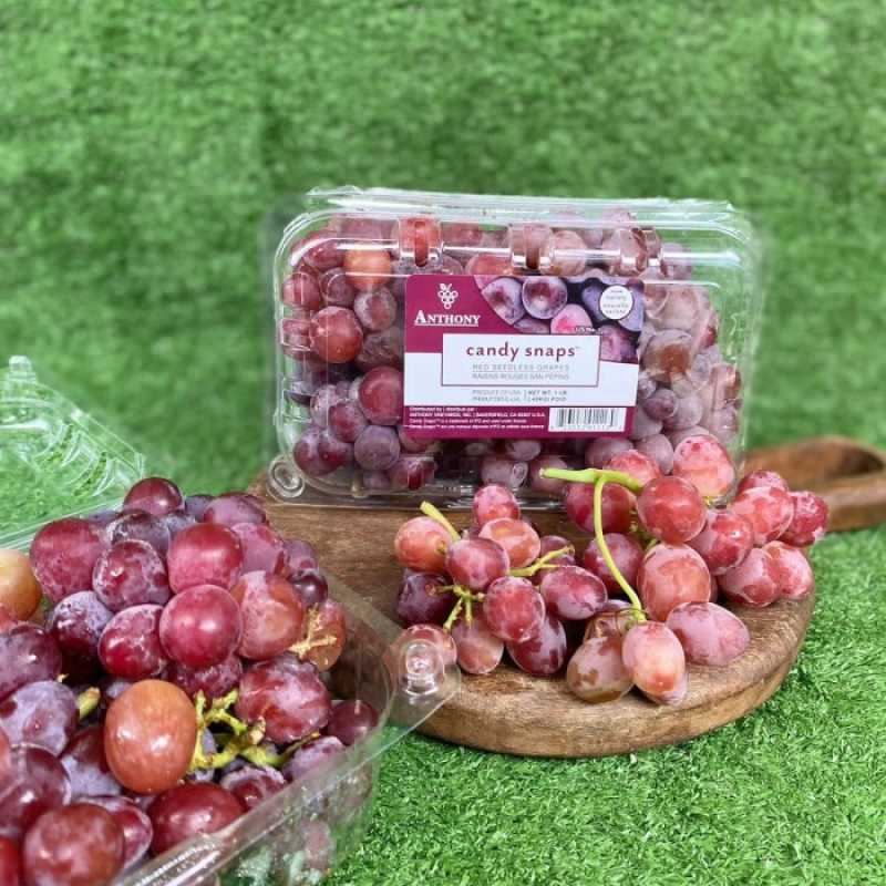 Jual Candy Snaps Red Seedless Grapes 1 Pack di Seller Yayoi Store