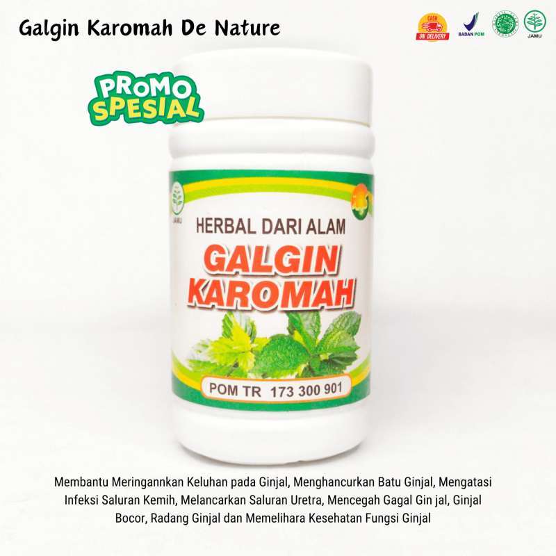 Obat Sakit Perut Sebelah Kiri-Batu Ginjal-Perut Bawah Sakit-Nyeri Punggung / Pinggang Sakit