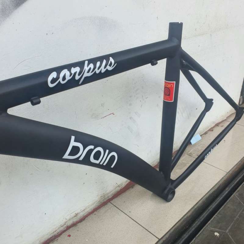 Frame brain fixie outlet