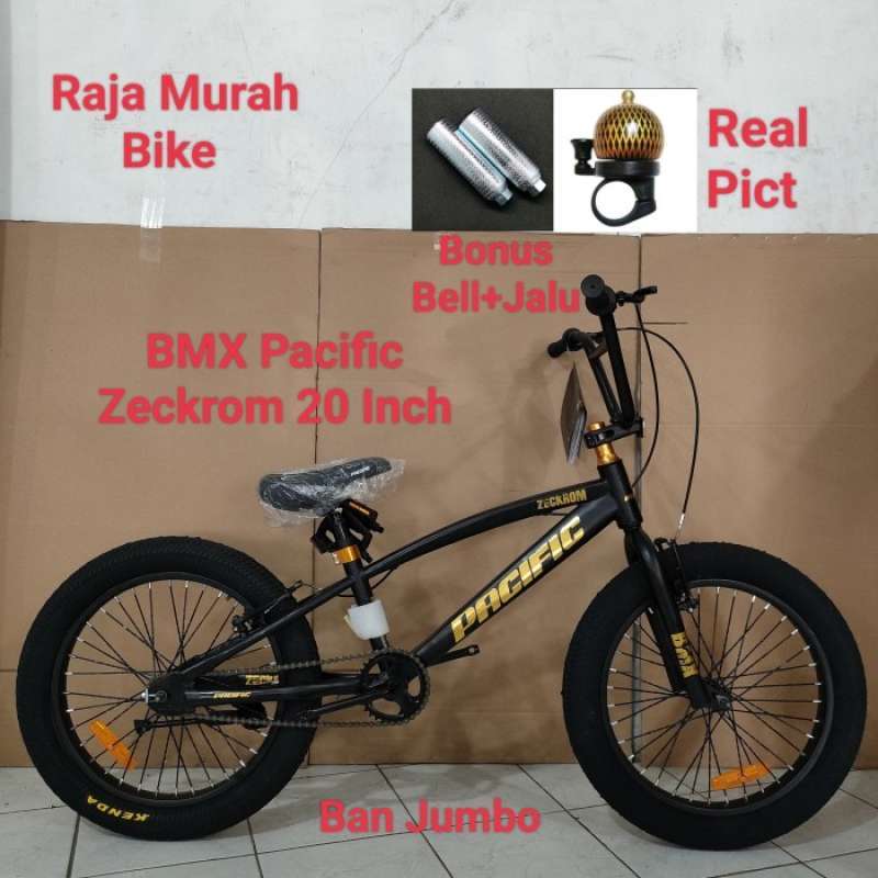 Pacific 20 inch bike on sale