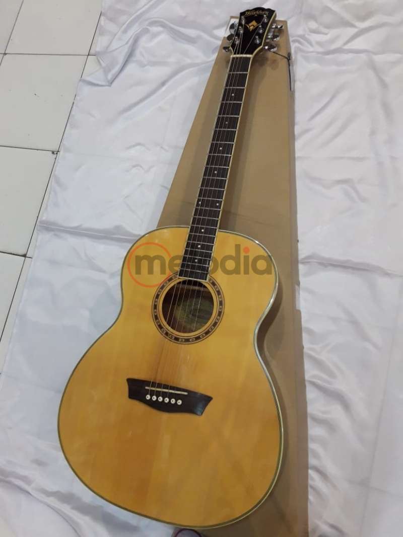 Washburn wf10s cheap