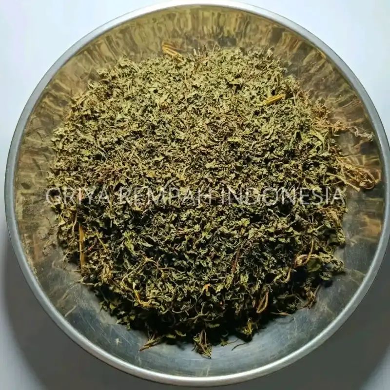 Jual Jamu Raja Madu 🏷️ 100% Original, Harga & Kualitas Terbaik April 2026