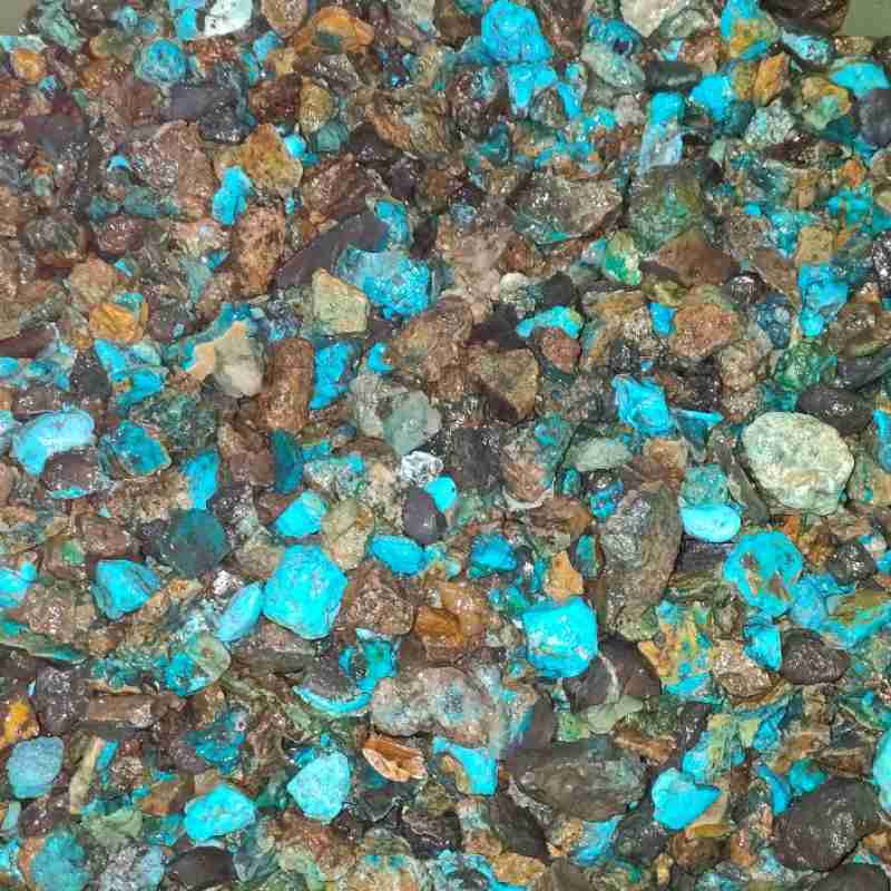 Harga Bacan Palamea