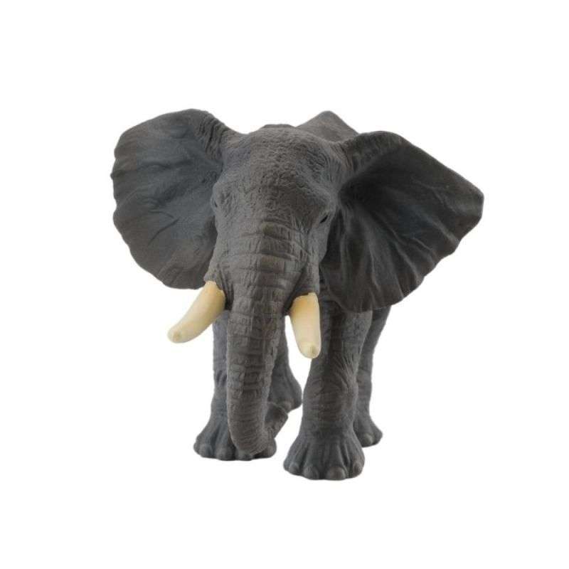 Jual Collecta Mainan Figure African Elephant 88025 Di Seller Toys ...
