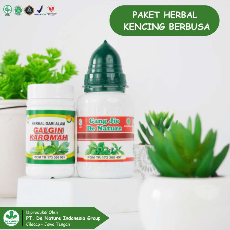 Jual Gangjie Galgin Asli Original Bpom Obat Ginjal Herbal Untuk Sakit ...