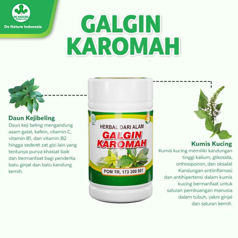 Jual Gangjie Galgin Asli Original Bpom Obat Ginjal Herbal Untuk Sakit ...