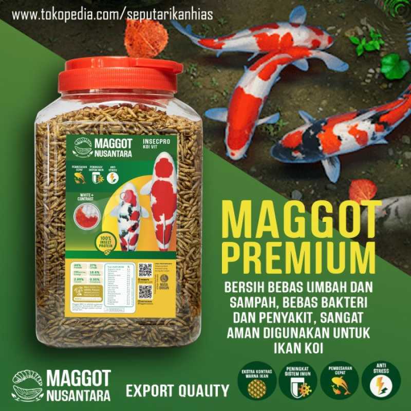 Promo Pakan Ikan Koi Maggot Bsf Premium Grade A Maggot Nusantara