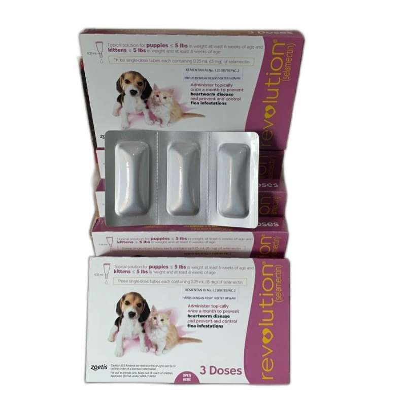 Shop revolution mauve for kittens Clearance