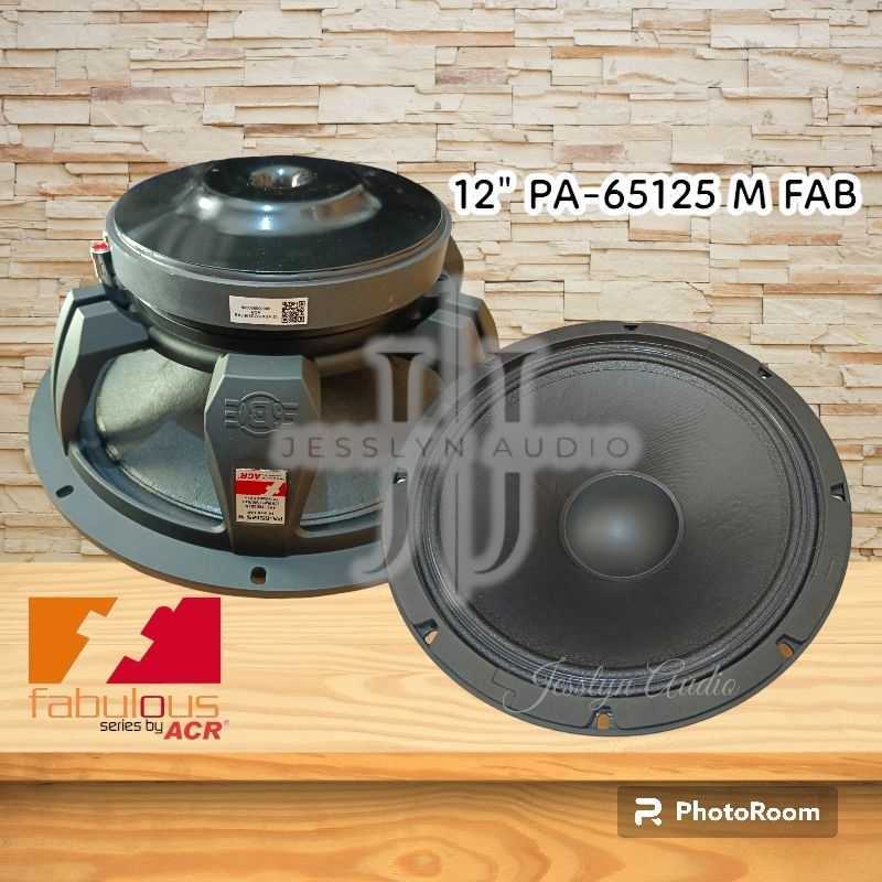 Speaker Acr Fabulous Thukral Speaker 12 Inch Acr Fabulous 12 In