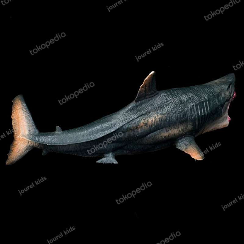 Promo mainan ikan hiu jenis megalodon, white shark dan Tiger shark