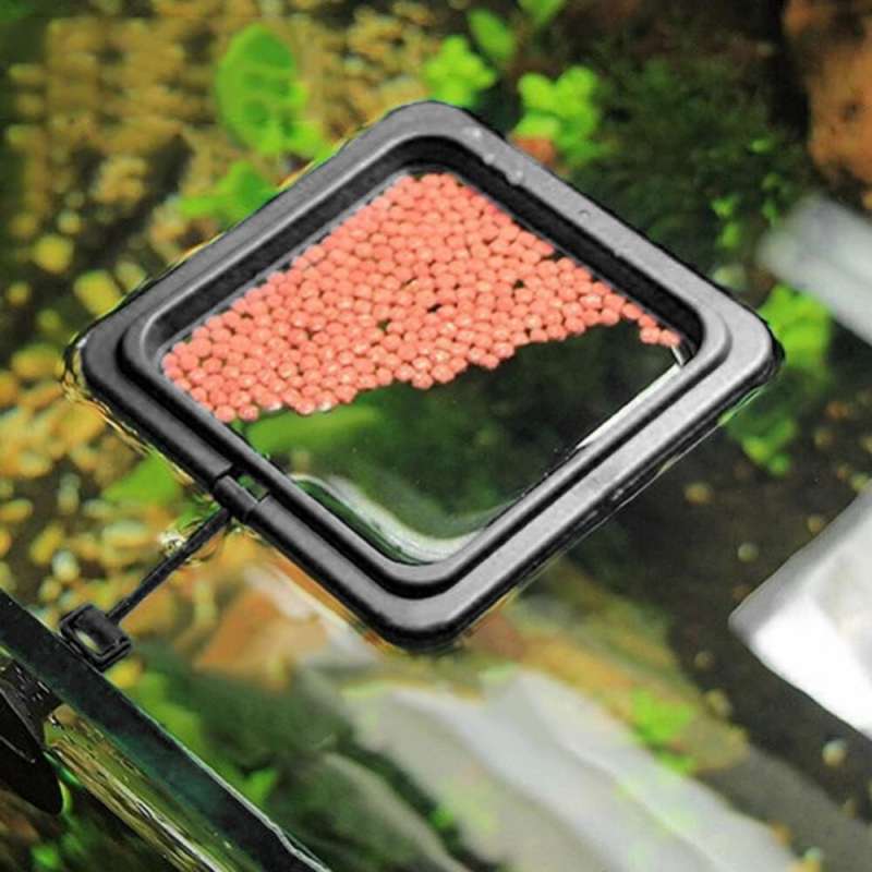 Jual Aifeier Tempat Makan Ikan Aquarium Fish Feeding Ring Floating