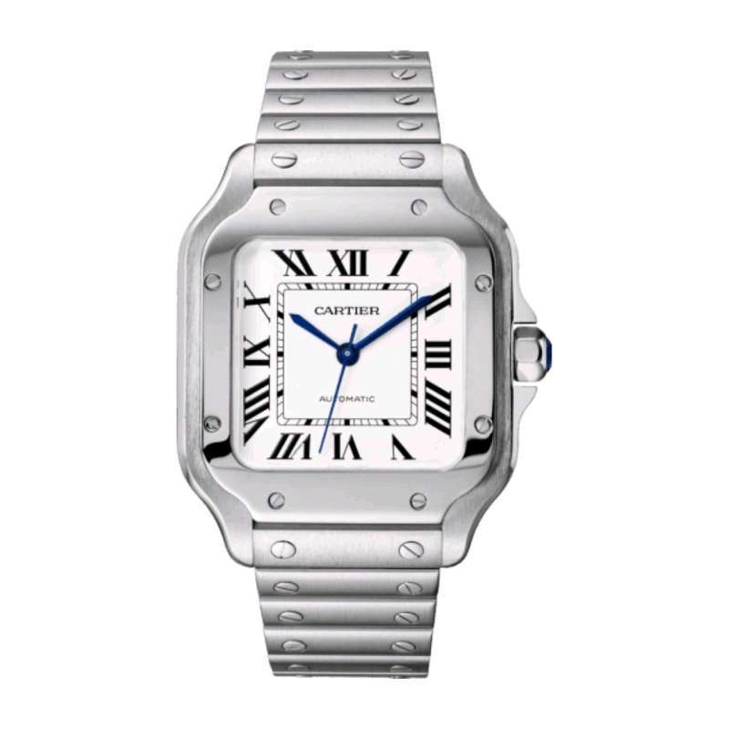 New Santos 100 M Stainless Steel New in Box 2024