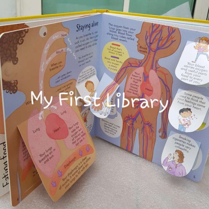 Promo Usborne Look Inside Your Body With Over 100 Flaps To Lift Diskon ...