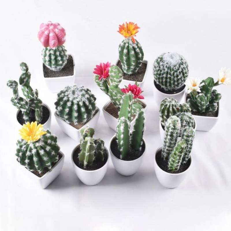 Jual Kaktus Sukulen Mini Kaktus Plastik Pohon Kaktus Mini Artificial Plant  Di Seller Go Green Shop Jkt - Roa Malaka, Kota Jakarta Barat | Blibli