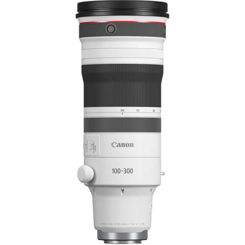 Canon純正 100-300mm 標準レンズ 美品 a4194キヤノン、フラッグシップ
