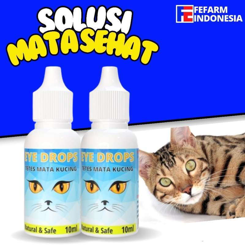 Obat Tetes Mata Kucing EYE DROPS Obat Sakit Mata Kucing Belekan Iritasi  Infeksi Berair