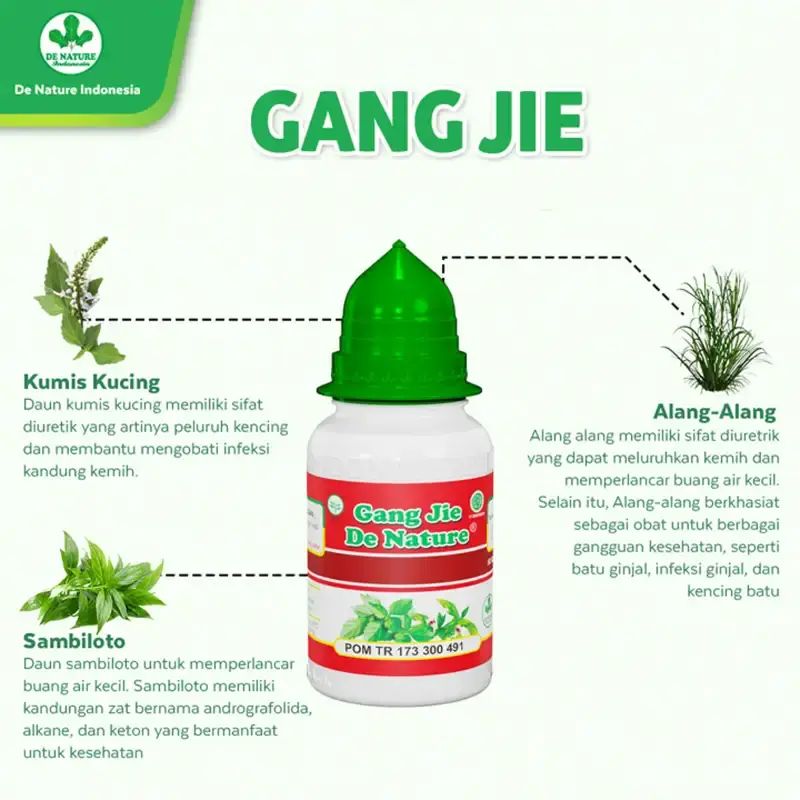 Jual Galgin Karomah Asli Obat Ginjal Obat Batu Ginjal Obat Luruh Empedu ...